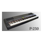 Yamaha P-250 Bedienungsanleitung