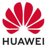 Huawei Technologies QISE173U-6 HSPAUSB Stick User Manual