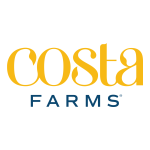 Costa Farms CO.3.ZC10.PARWHT 10 in. ZZ User guide