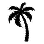Palm V Palm IIIc Manual | AI Chat &amp; PDF Access