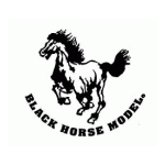 Black Horse Model BH36 P47-THUNDERBOLT Instruction Manual Book