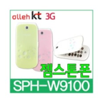 Samsung SPH-W9100 사용자 매뉴얼