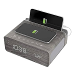 ION Charge Time Quick Start Guide