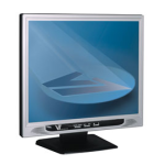 V7 E19PS 19" LCD 1280x1024 800:1 Datasheet