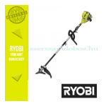 Ryobi RBC30SESB/RBC30SBSB User Manual | AI Chat &amp; PDF 