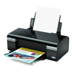 Epson C120 Bulk Ink System Reset Instructions