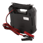 BE01250 Battery Charger: AI Chat &amp; PDF Download