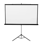 Fonestar PPEL-43100-FA Electric projection screen Guide