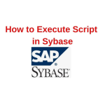 Sybase Version 2.2 User manual