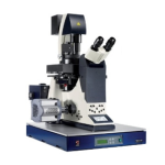 Leica DMI 6000, DM 6000, TCS SP5 X User Manual | AI Chat