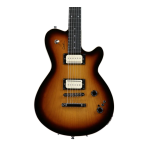 Godin Icon Type 2 Convertible Specification