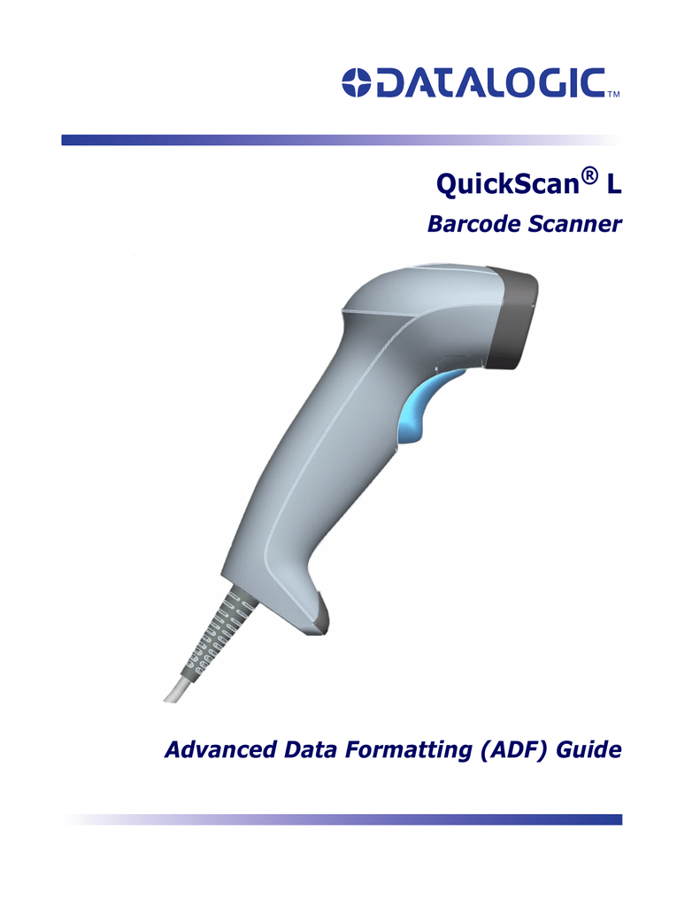 Quick scan. Ручной сканер Даталоджик с описанием что где находится.