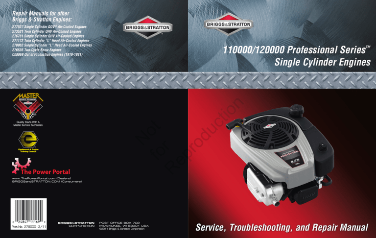 Briggs Stratton Professional Series 120000 User Manual Manualzz