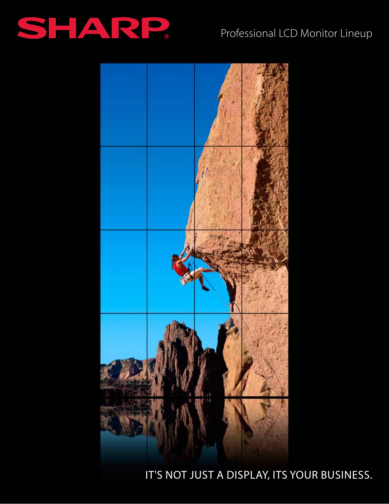 Sharp Product Line - Business Equipment Center Professional LCD Monitor ...