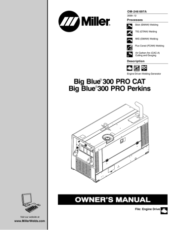 Miller BIG BLUE 300 PRO CAT (ALSO SEE PRO 300 CAT) Owner Manual | Manualzz