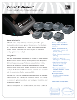 zebra gk420d blink codes