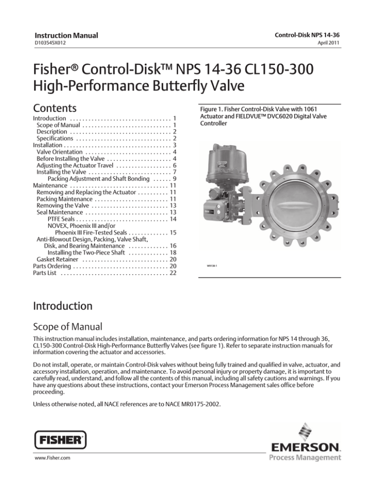 Emerson Fisher ControlDisk User manual Manualzz