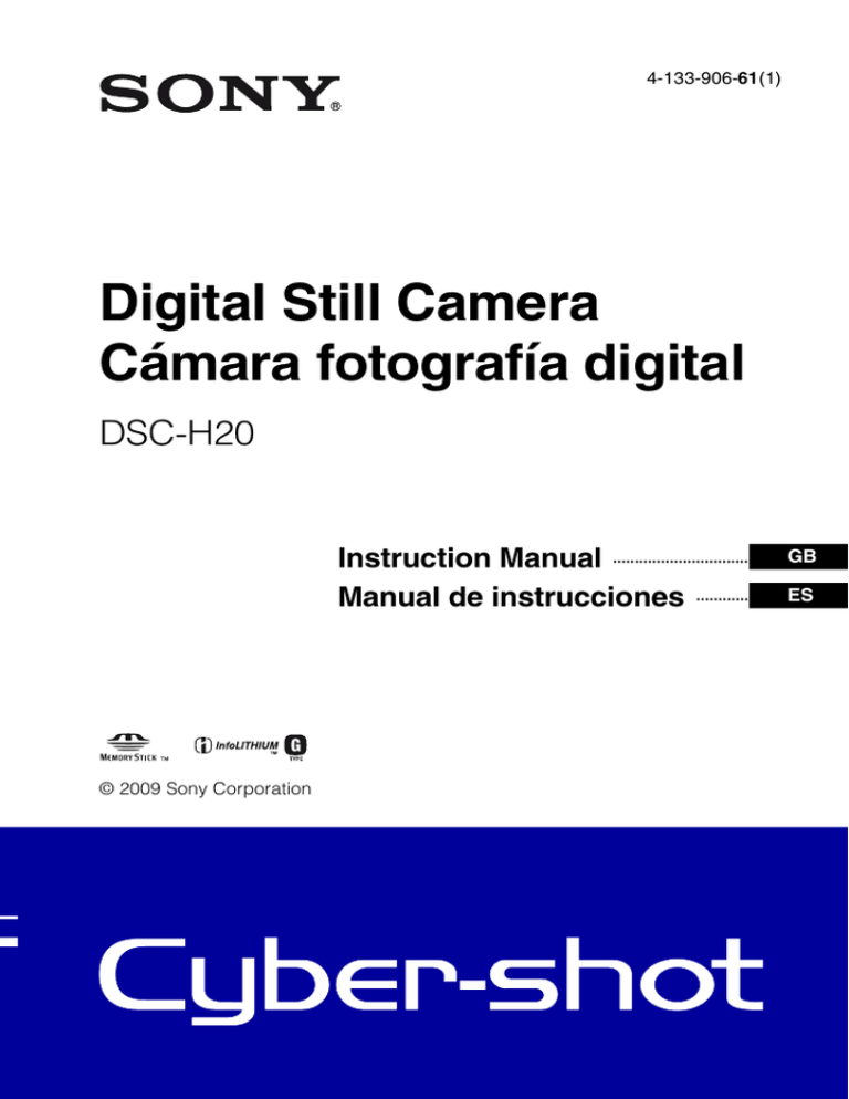 Sony Cyber Shot DSC-H20, DSC-H20 User manual | Manualzz