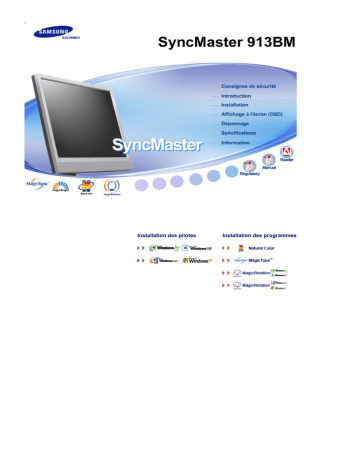 Samsung SyncMaster 713N : 17 pouces et 8 ms