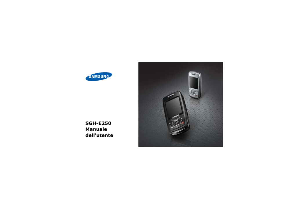 SCARICARE TEMI PER SAMSUNG SGH-E250I