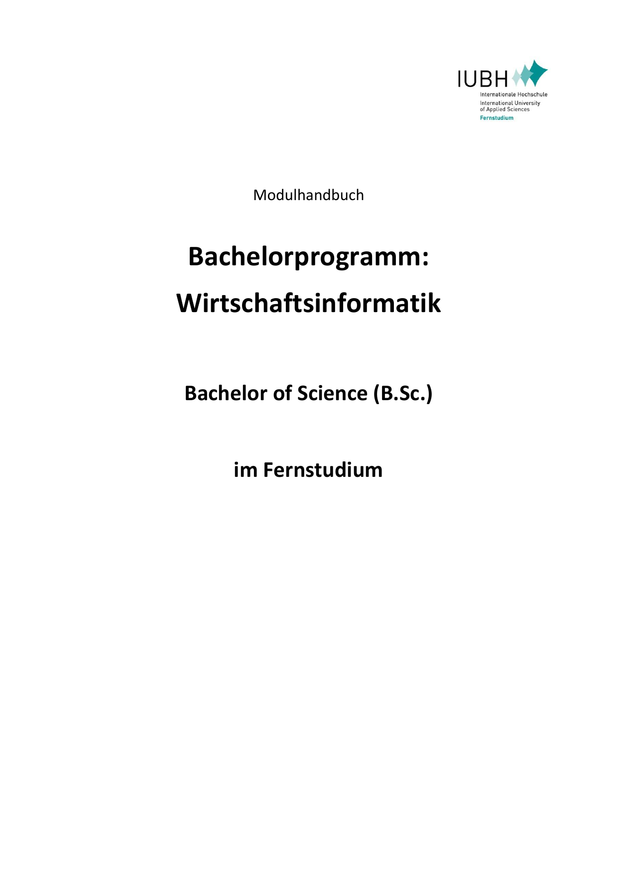 Bachelorprogramm Wirtschaftsinformatik Manualzzcom - 