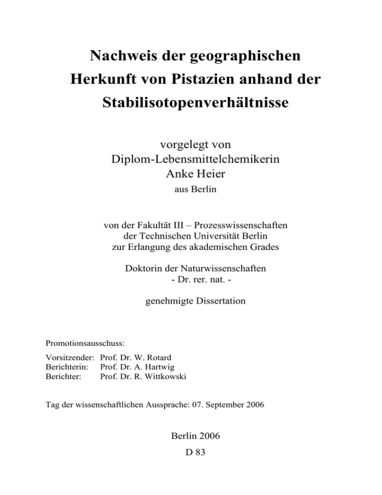 What is a dissertation image