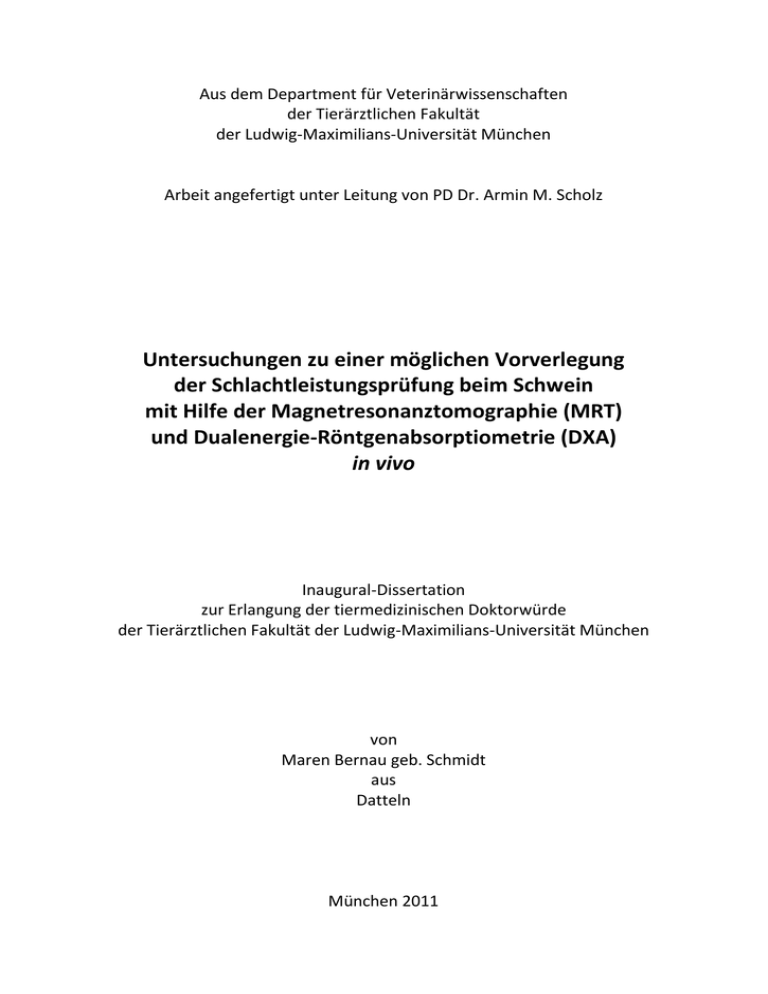 What is a dissertation picture