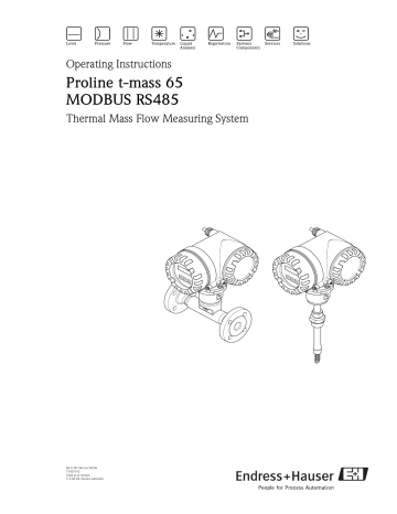 Proline t-mass 65 MODBUS RS485 | Manualzz