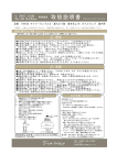 GORIKI ISLAND マイナーランプ 2S オイルランプ 取扱説明書