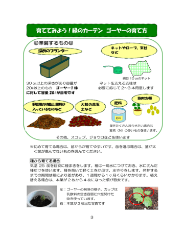 3 緑のカーテンの育て方 Manualzz