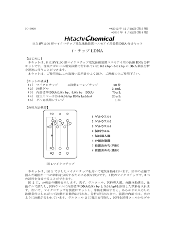 I チップ Ldna Manualzz