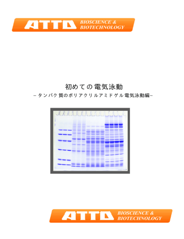 初めての電気泳動 Manualzz