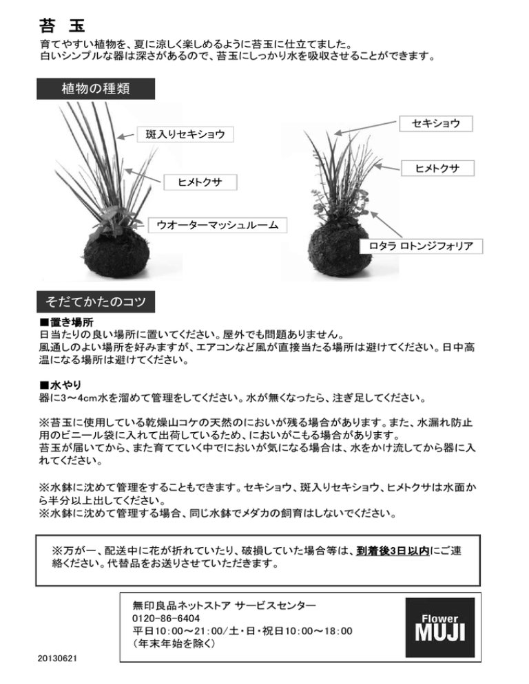 無印良品 苔玉 取扱説明書 Manualzz