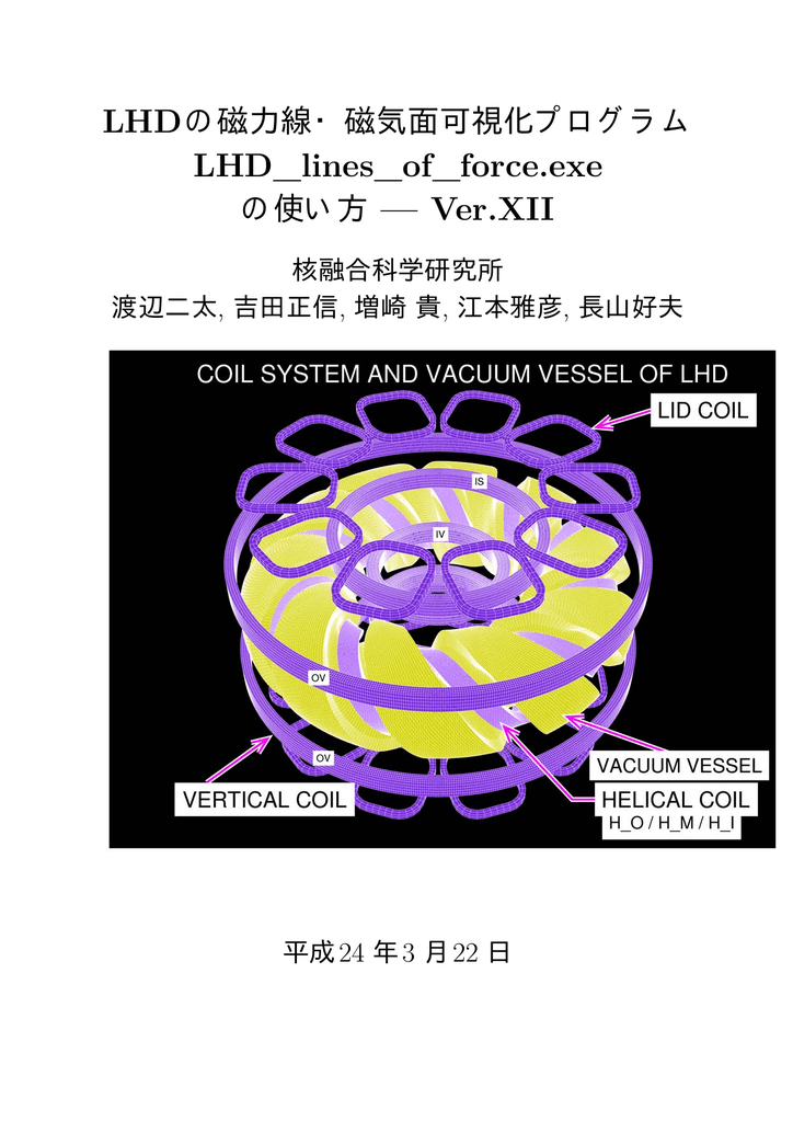 Lhd Lines Of Force Exe 解析情報グループ Manualzz