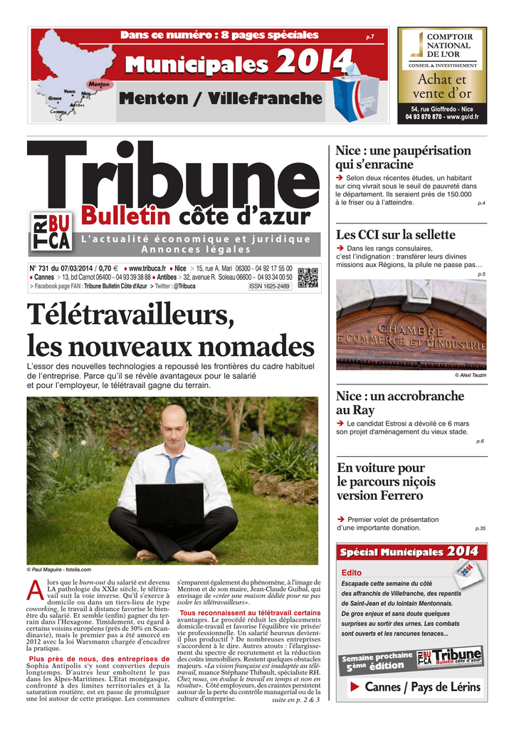 Teletravailleurs Les Nouveaux Nomades Manualzz