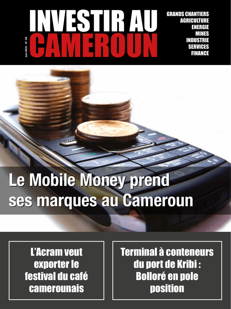 Investir Au Cameroun N 38 Manualzz