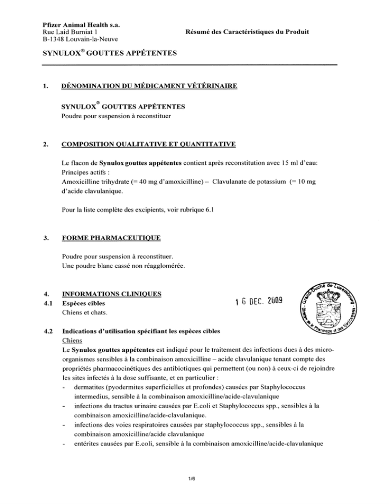 Amoxicilline Acide Clavulanique Posologie Chat