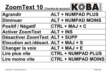 zoomtext 10 requirements