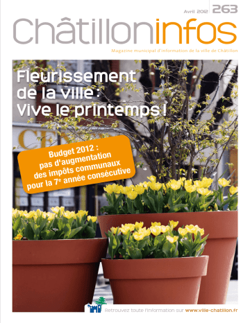Chatillon Infos Manualzz