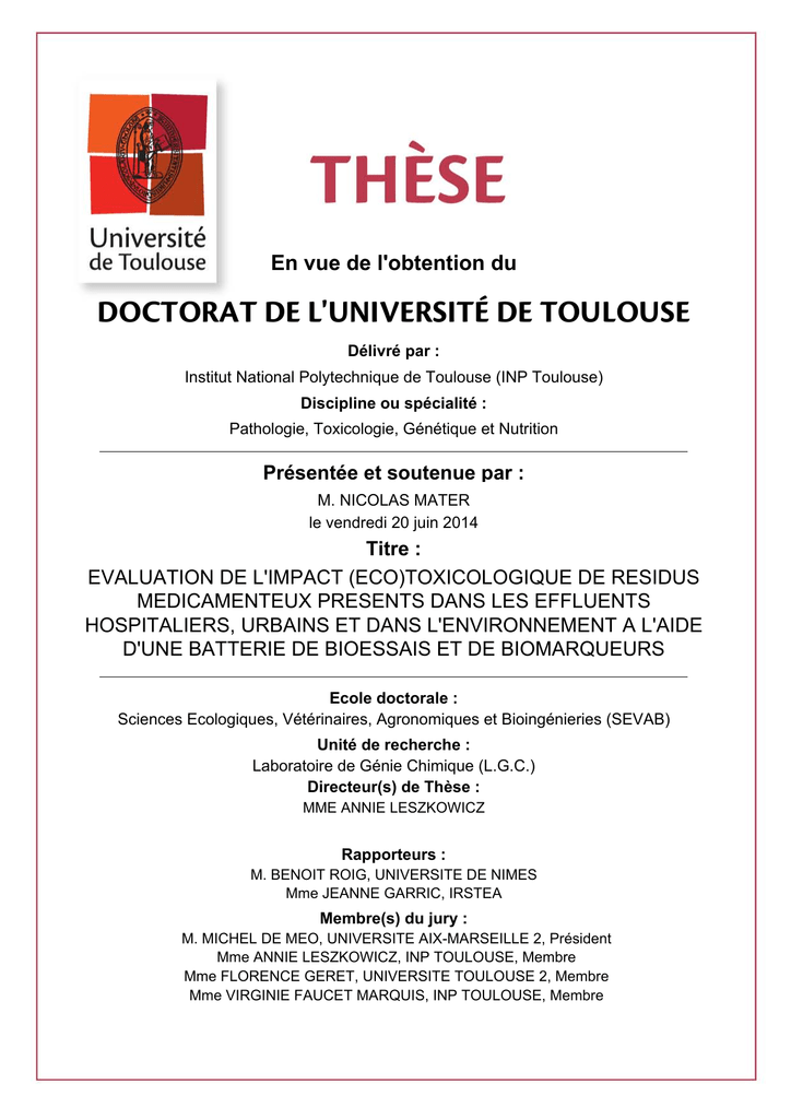 For Peer Review Les Theses En Ligne De L Inp Manualzz