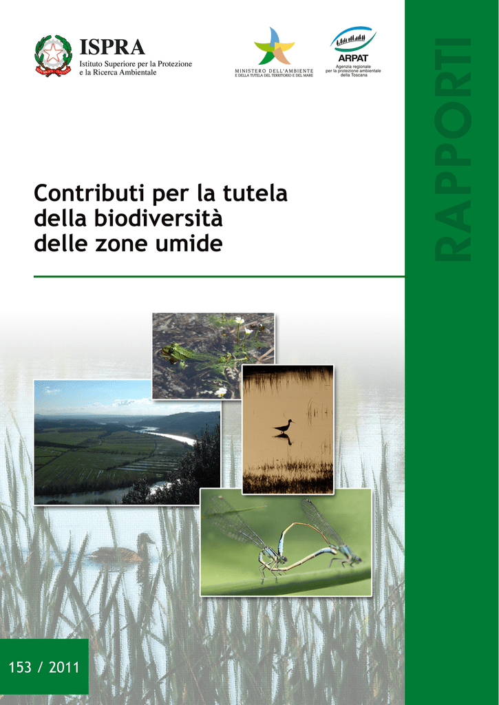 Termini e condizioni di matchmaking