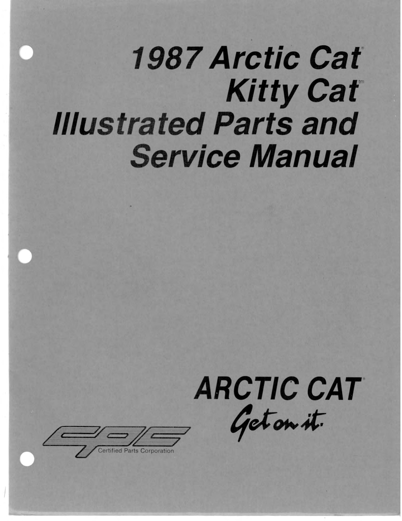 Kitty Cat Snowmobile Rivets 1/8 Black Rivets 50 Qty Arctic Cat Kitty Cat 