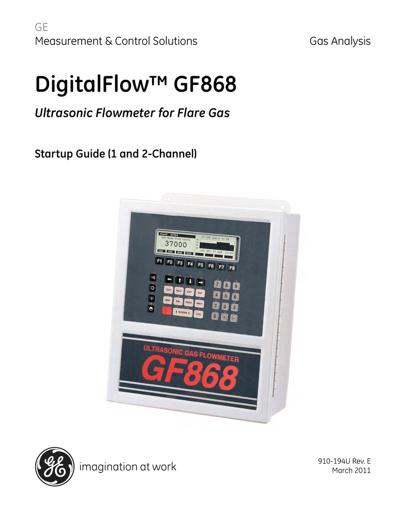 GE DigitalFlow™ GF868 Manualzz