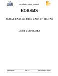 Bank of Bhutan BOBSMS User Manual | AI Chat &amp; PDF Download