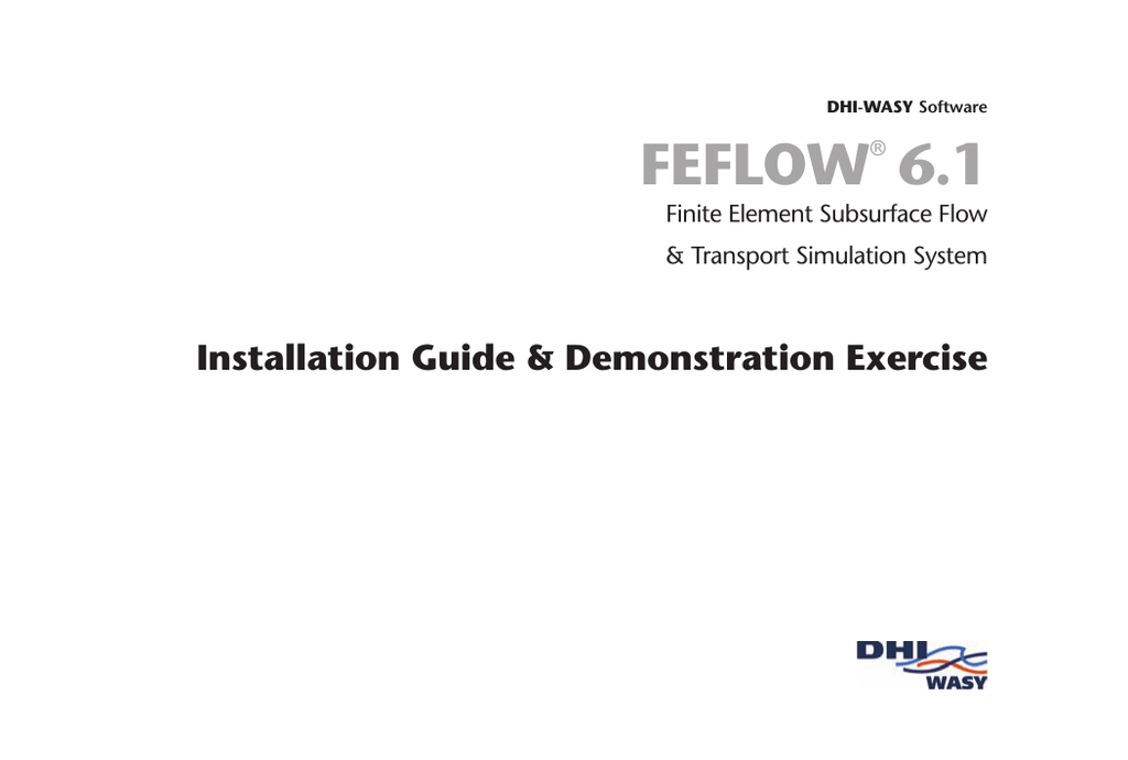 feflow 6.1