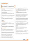 ING Bank IBP CEE User Manual | AI Chat &amp; PDF Access