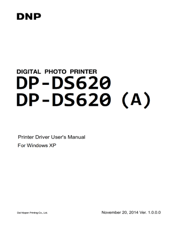 dnp rx1hs driver windows 10