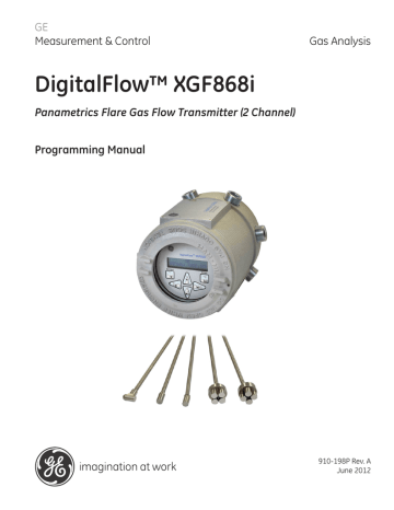 GE DigitalFlow™ XGF868i | Manualzz
