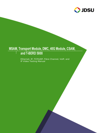 MSAM, CSAM, and T-BERD 5800 Ethernet Testing Manual | Manualzz