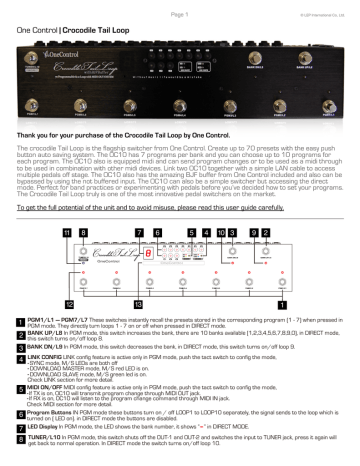 Crocodile Tail Loop Manual 79+ Pages - Latest Revision 